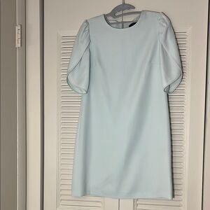 Cynthia Steffe Soft Blue Long Sleeve Dress